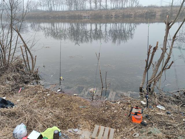 夜钓|惊喜来太突然，大鲤鱼突破个人野钓记录