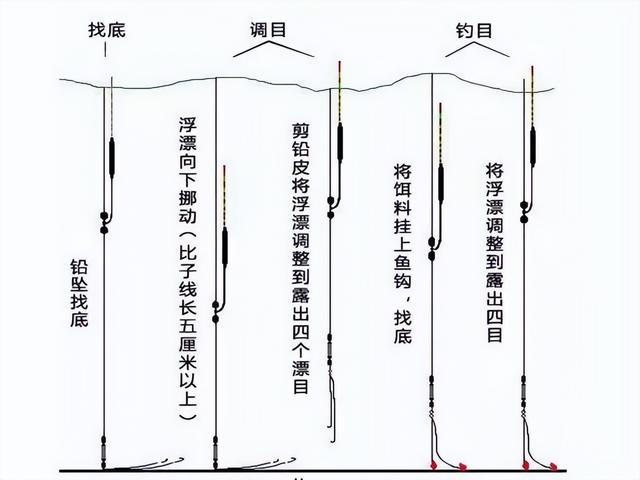 饵料|寒露将至,这样调整渔获翻番不是梦