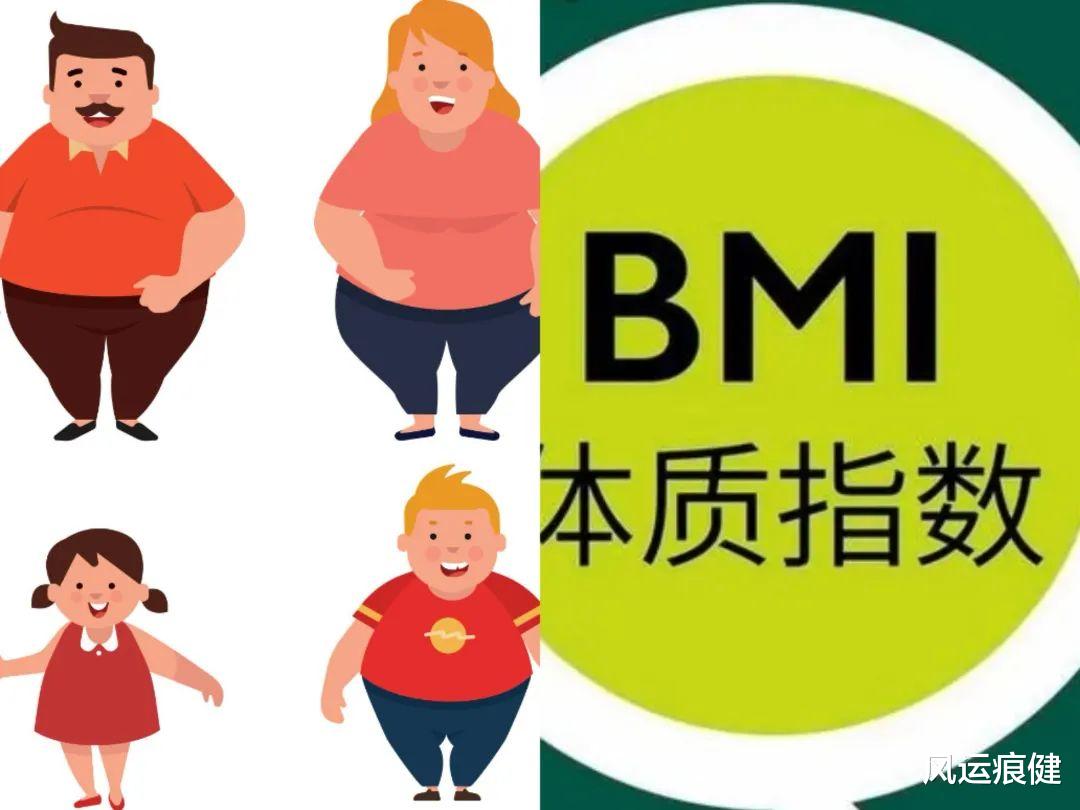 BMI指标是否有缺陷，如何定义肥胖？