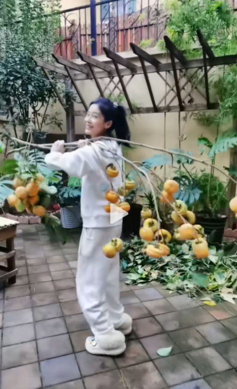 王媛可晒北京2层大别墅，老公出镜幽默，两个双胞胎儿子胖又帅气