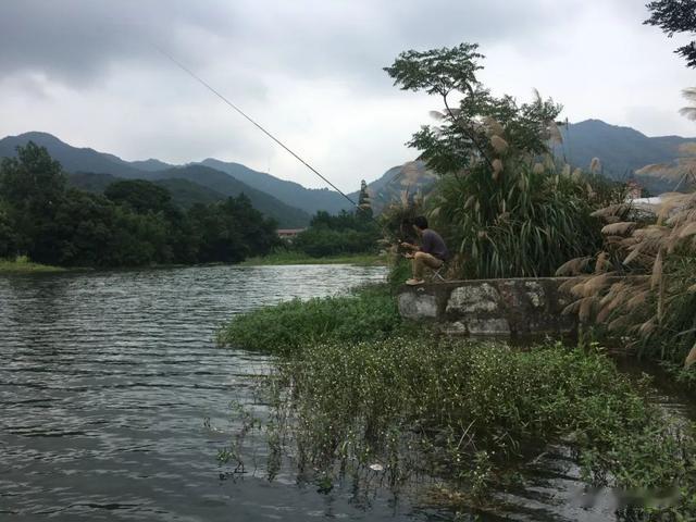 饵料|伏天守大鱼4个“法则”,只要认真遵守,新手也能成功钓到大鱼