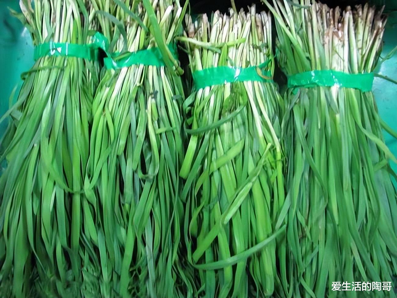 韭菜|明天雨水,记得吃雨水4宝,为迎春开好头