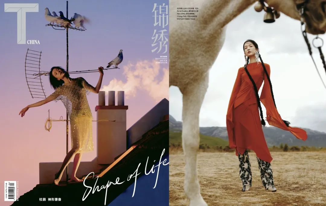 为什么一夜间85花都打不过张子枫了？