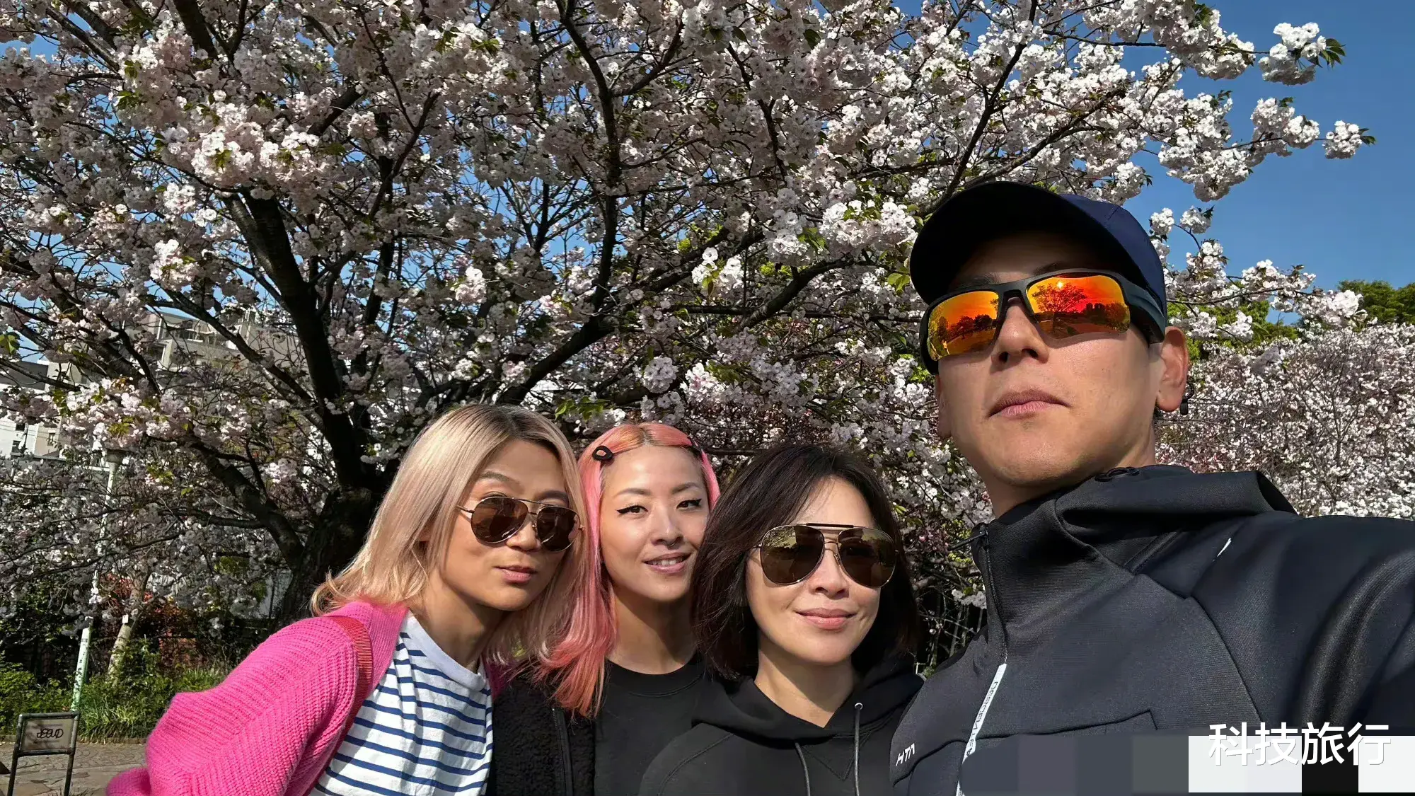 刘嘉玲|刘嘉玲，引发热议！！