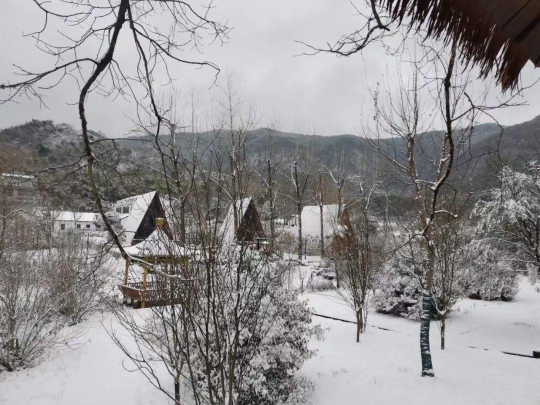 初雪|初雪逢小年，浪漫满咸宁
