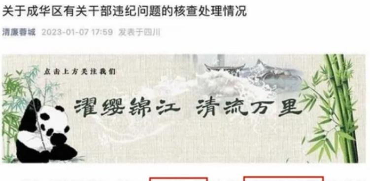 算法|副区长因“聊天记录”前途被毁,官方撤下陈枢简历,男主也换人了