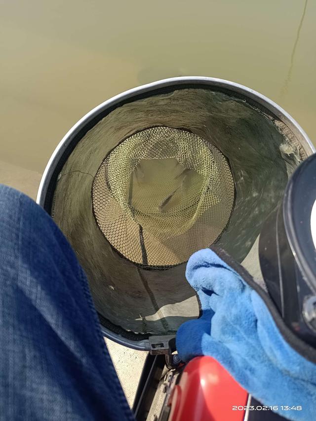 鲫鱼|阳光正正好，钓鱼再出发！