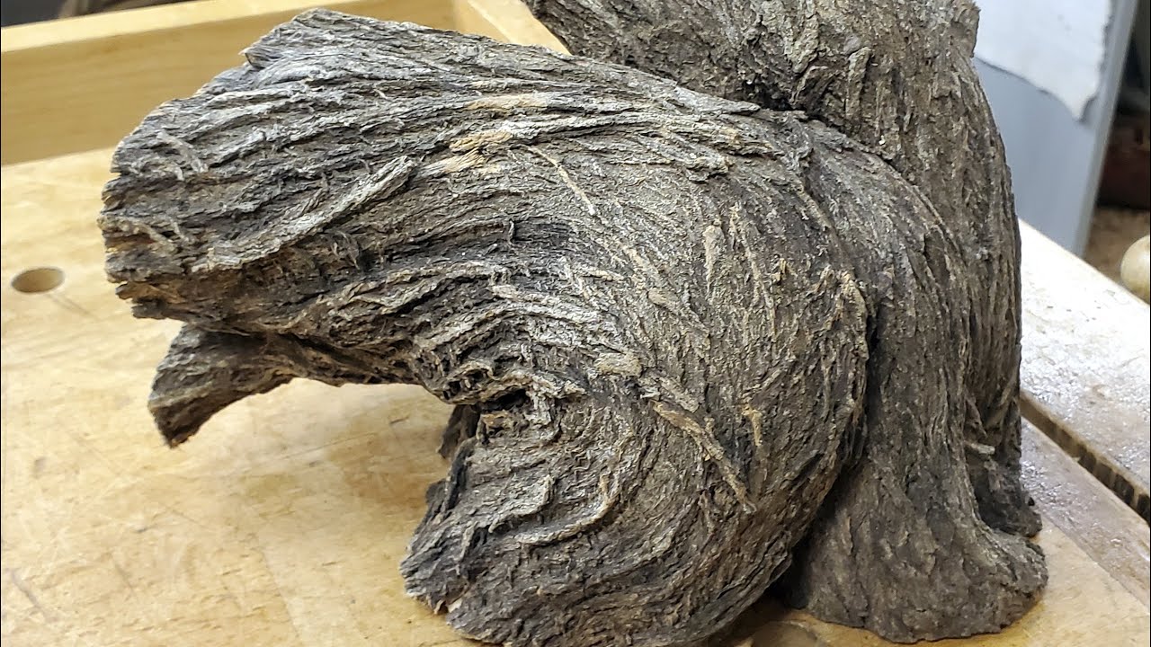 玉佩|树根生命的意义