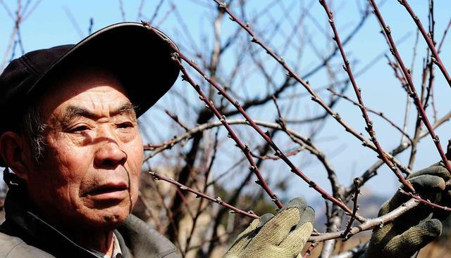 人老了才明白，70岁～75岁这5年，要想惜命，需坚持10个“好习惯”