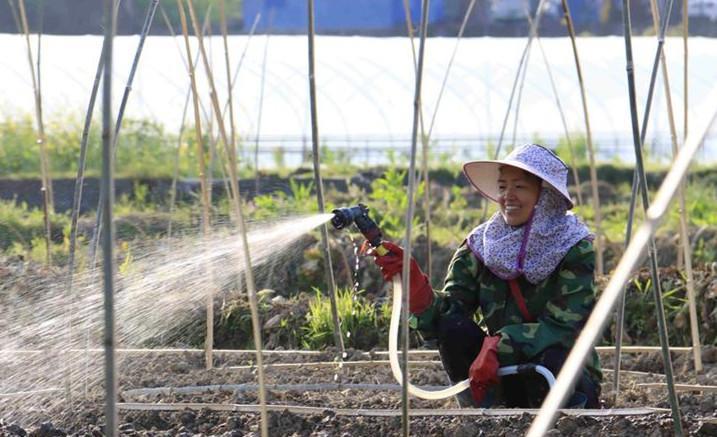 养老金|又有代表提养老！解锁农民市民“同价养老”，“职业金”将成关键