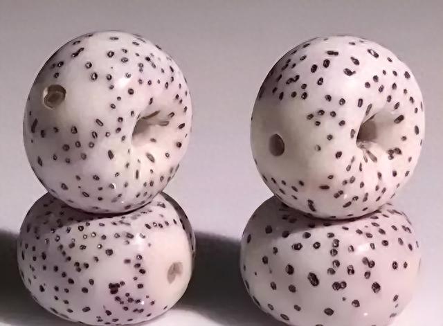 星月菩提为什么盘出来是黄的,而不是红的呢?