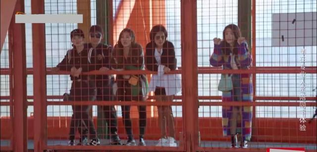 明星|郑恺被苗苗拖累，节目中不敬业频玩手机，网友喊话别再上夫妻综艺