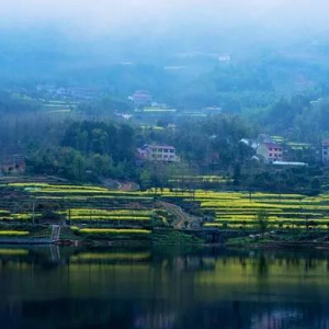 黄磊|《向往的生活6》，好看吗？为什么不火了