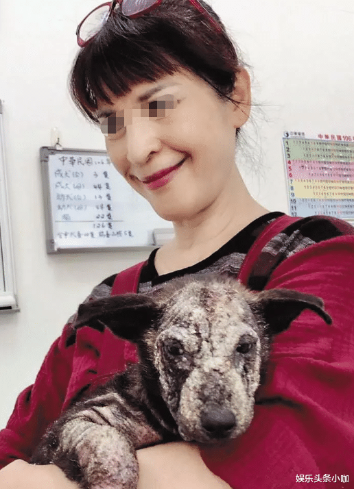 李依琳|豪门千金私密照流出，退圈嫁人了？