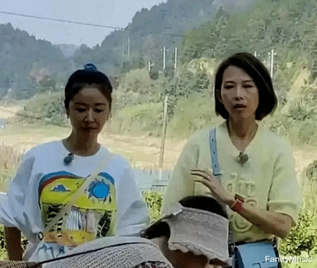 看到林心如和蔡少芬同框，我才明白：女明星也有“中年危机”！