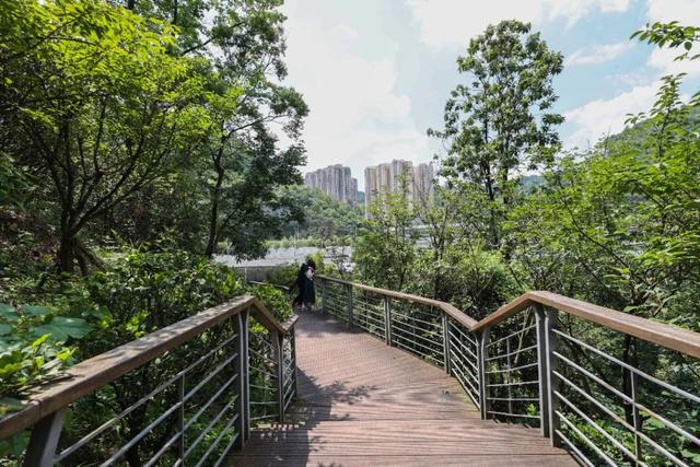 露营|露营野餐安排上！云岩有个藏在城市里的宝藏公园