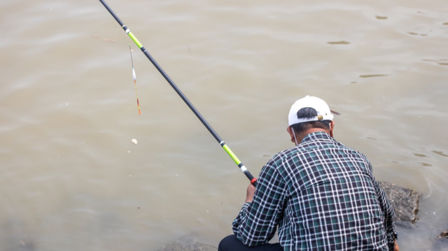 饵料|钓鱼没有捷径,别被小广告欺骗,花钱还钓不到鱼