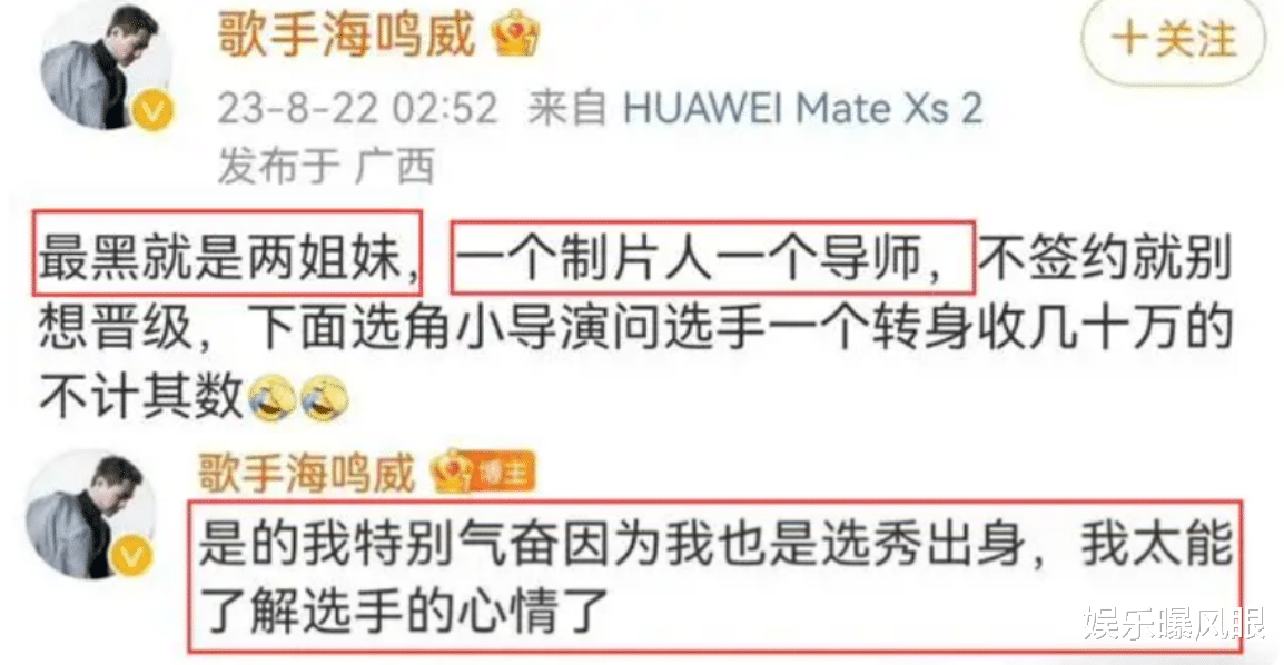 摊上事了?那英被海鸣威点名,让中纪委严查,她紧急请辞不肯露面