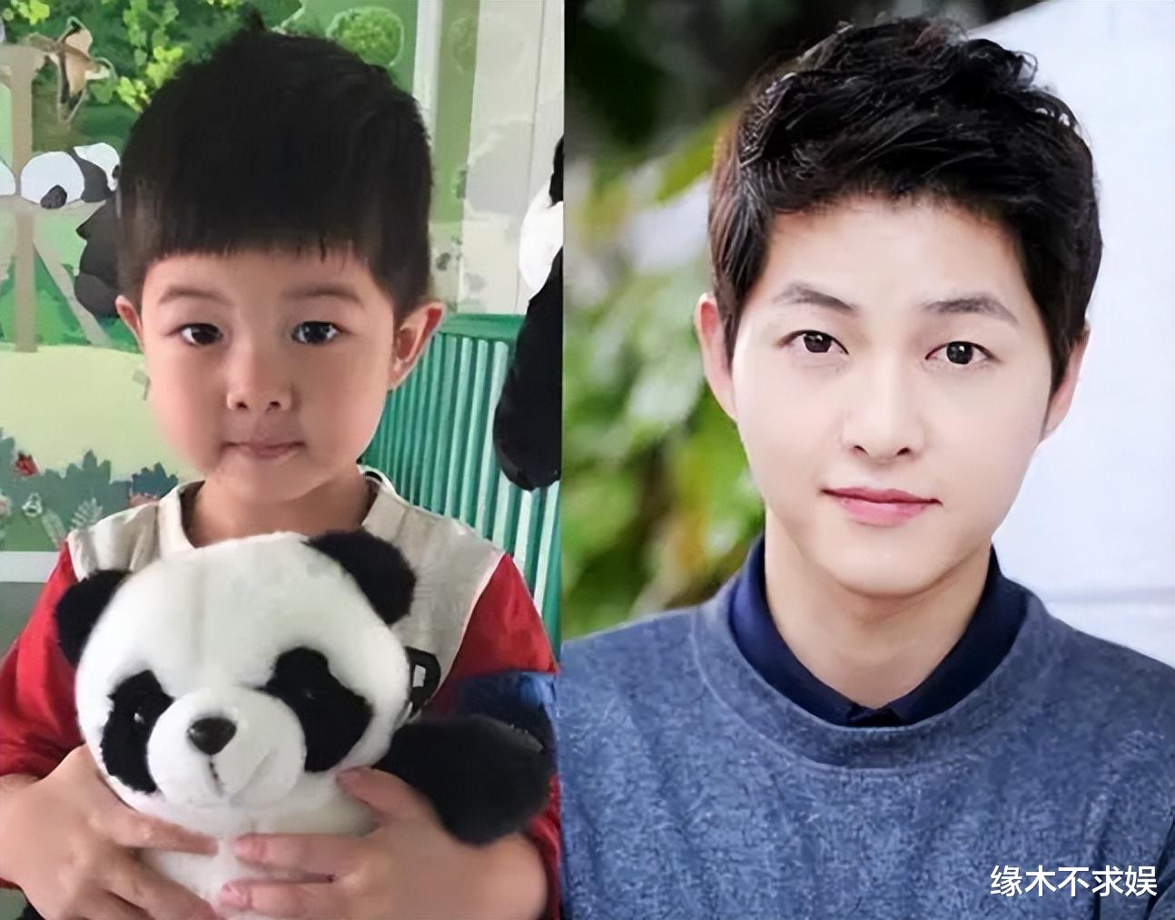 胡可一家3口新加坡旅游,12岁安吉变回东北宋仲基,兄弟俩差距大
