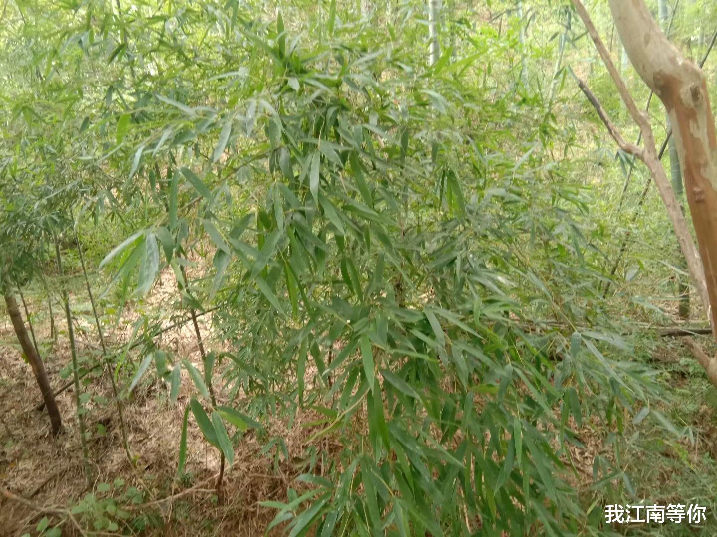 女儿被邻居侵犯,夫妻俩悄悄将邻居的女儿卖给人贩子