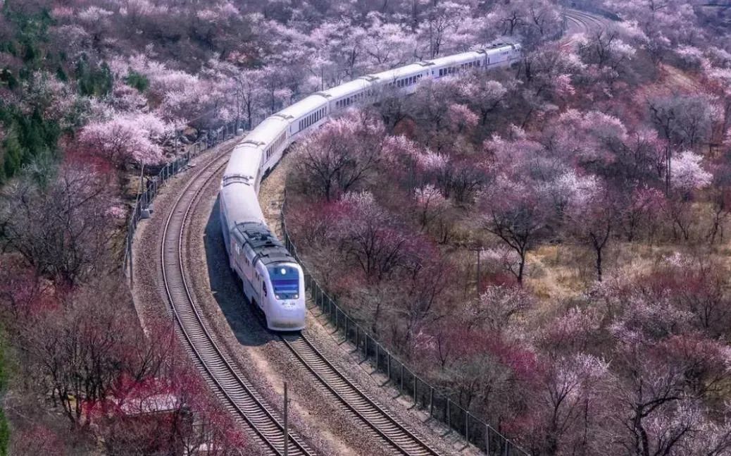 繁花|中国八趟绝美列车