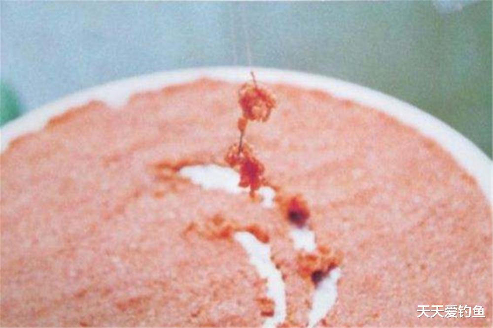 |搓饵既简单又复杂,真正用好了,不怕鱼情任何变化