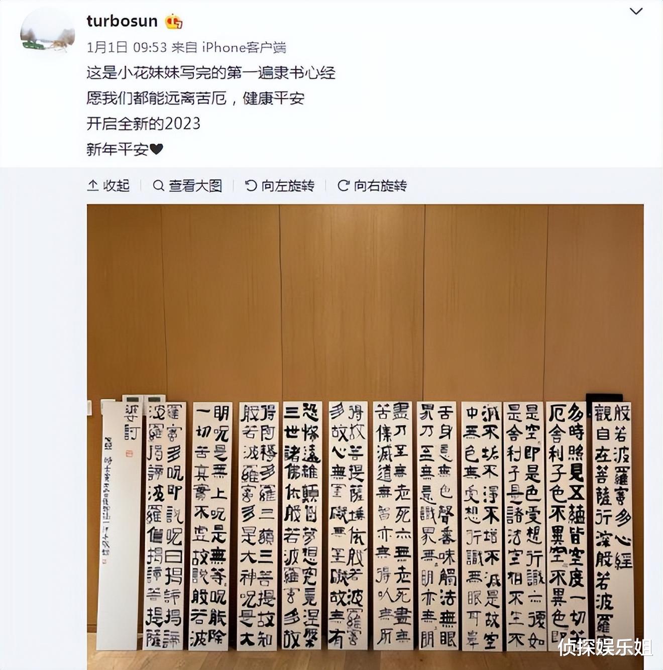 孙俪|孙俪大提琴考级成功,晒优异成绩自谦还不够完美,网友大赞全能