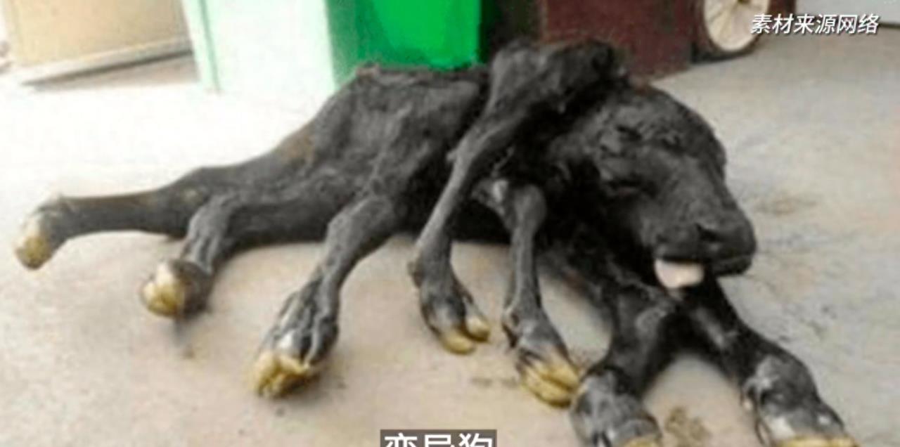 知名演员何家劲深夜发文:“人神共愤!自有天收!”评论区已沦陷