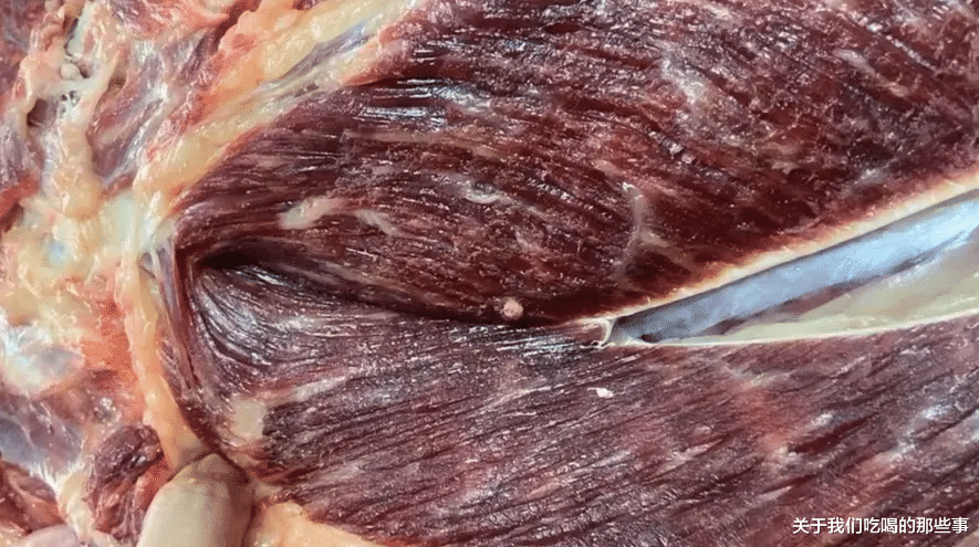 老照片|过年买牛肉，选牛腿肉还是牛肋条？牢记“3不买”，差别太大了！