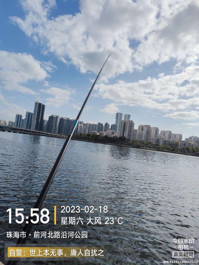 鳊鱼|今天是个好日子,用小钩鱼儿多多上,换大钩连竿大麦鲮