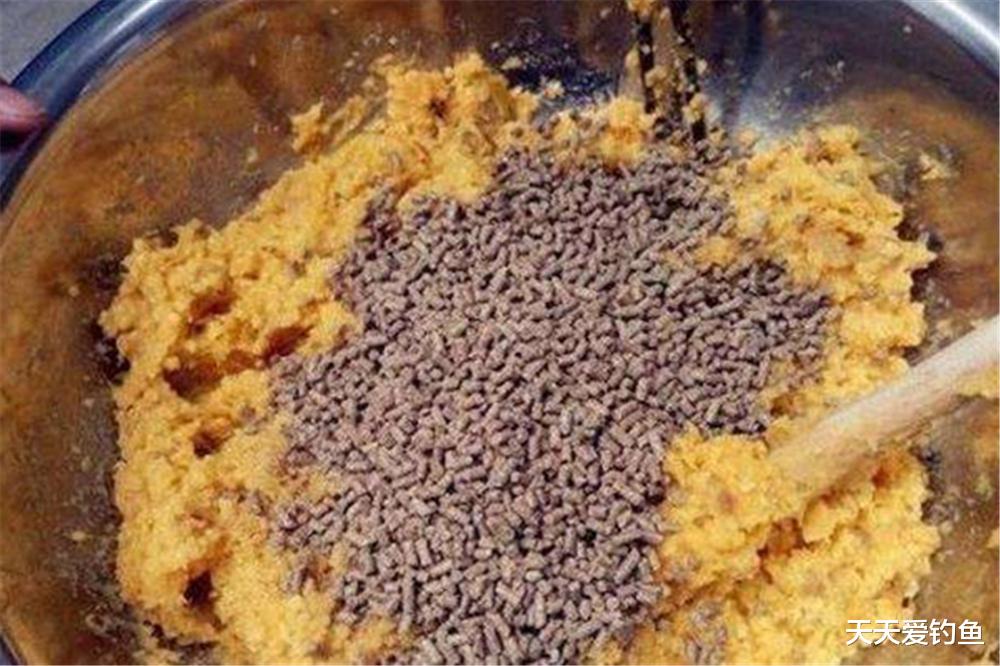 秋天野钓鲤鱼,4个奇效窝料配方,大小鲤鱼排队进窝