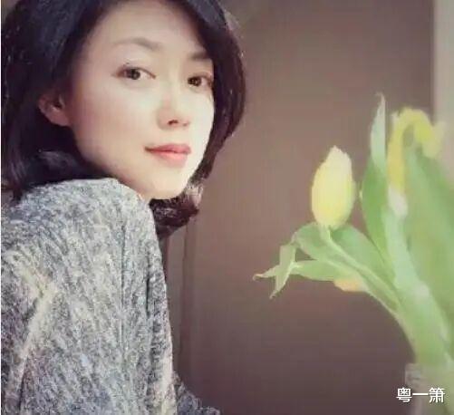 外来媳妇本地郎|《外来媳妇本地郎》康家媳妇集体回归，苏妙婵与罗飞雁相依为命