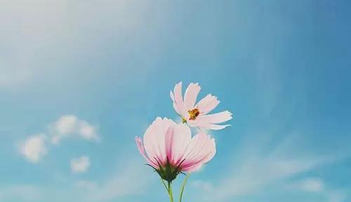 台湾|退休以后,最聪明的活法是:三不