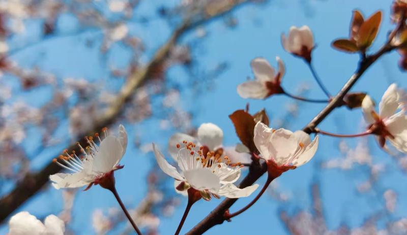 hr|领导接二连三提拔我的下属，意味着什么？