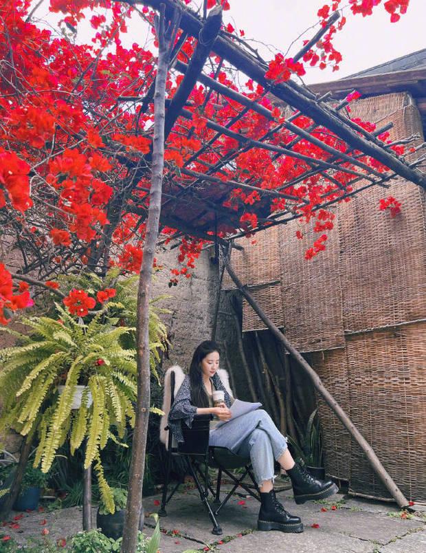 刘亦菲|刘亦菲晒新剧杀青照清新动人 与向日葵自拍露娇憨笑容