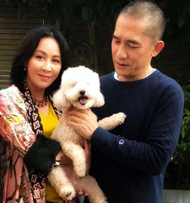 5对丁克的明星,4对还在坚持,却有1对丈夫偷偷和别人搞出了娃!