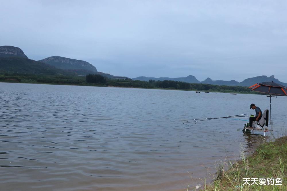 三伏天野钓,这4个环节不注意,妥妥的要空军