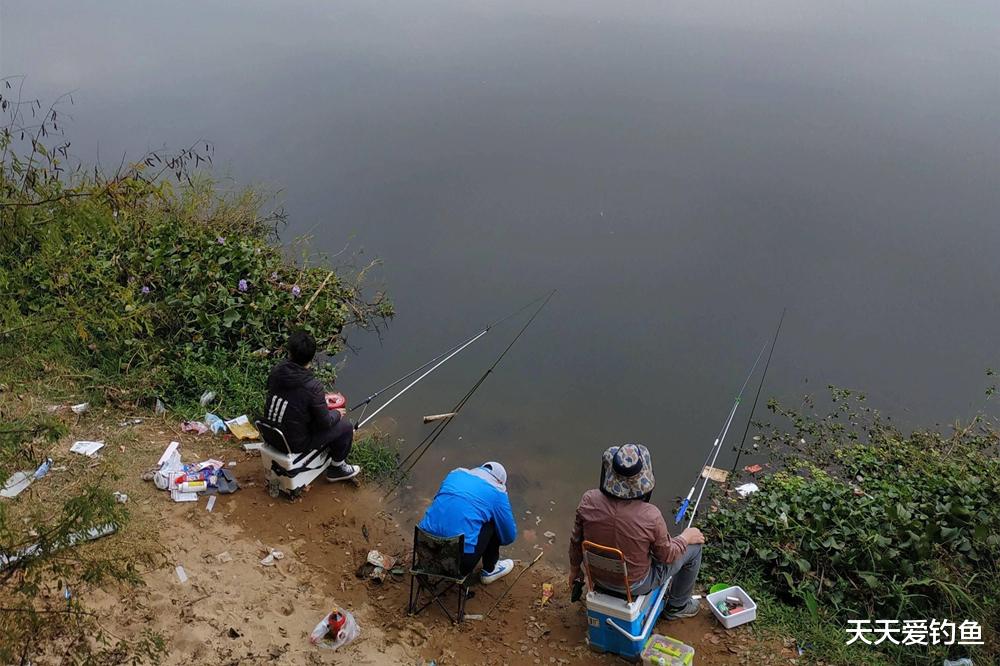 秋天钓鱼，鱼窝在这3个方向找，选对位置大鱼连竿