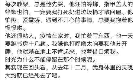 章子怡离婚内情,让我想起那个结婚纪念日抱着妻子跳下16楼的男人