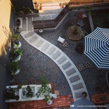 一只科技吉普赛