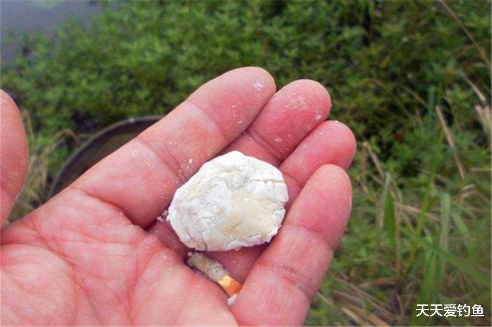 鲫鱼|4种好用的素饵，穿透杂鱼层，轻松钓到大鲫鱼