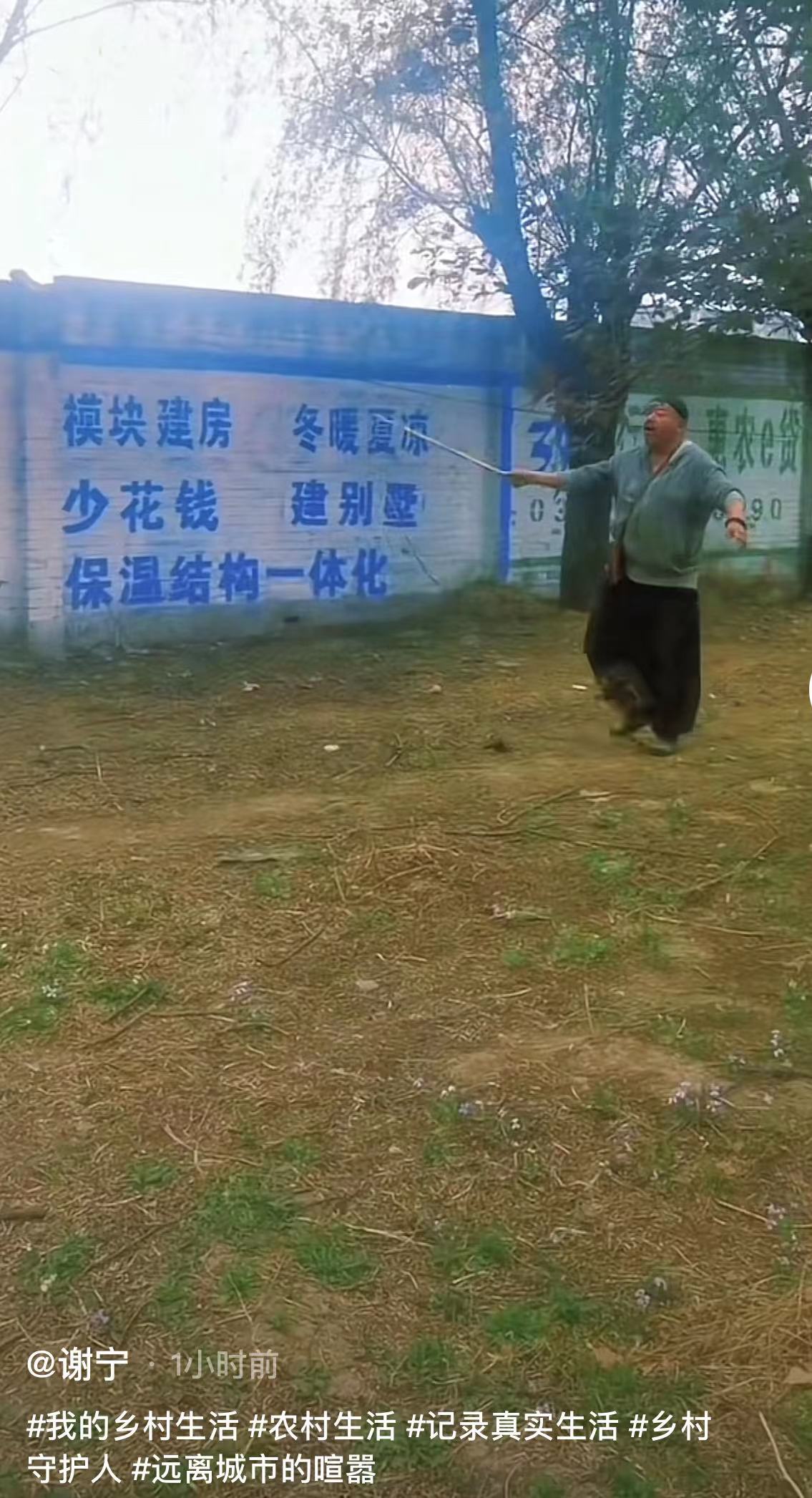 谢宁|50岁戏骨近1年无戏拍,定居河北农村放羊种菜,胡须花白精神足