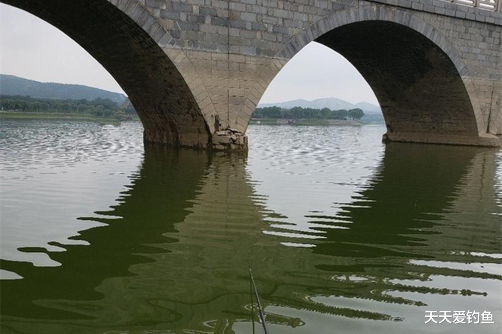 |夏季钓鱼5钓5不钓,天热鱼难钓,套路远比技巧重要