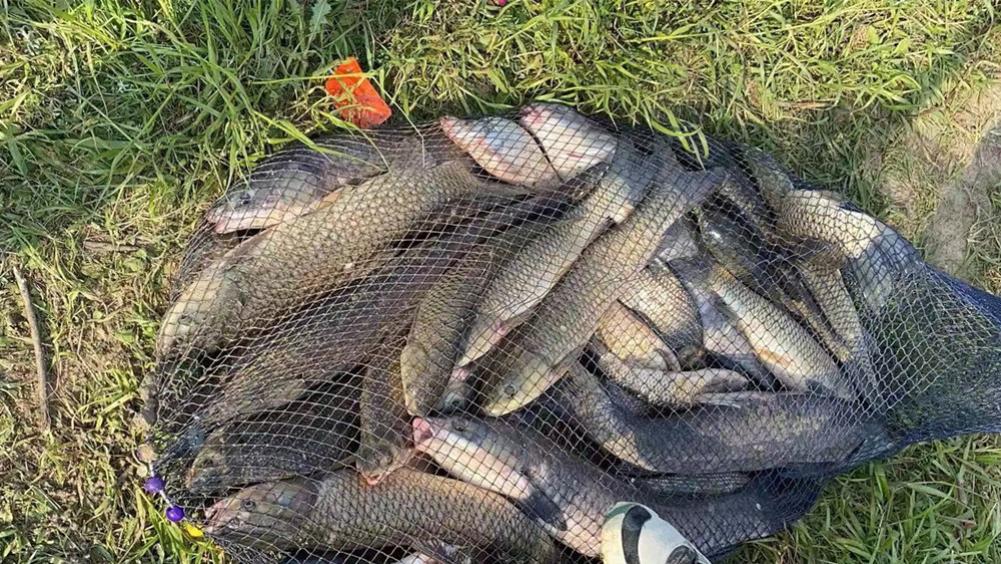 |钓鱼技巧：名字带“铅”的5种钓法，渔获不佳？把铅坠动一动