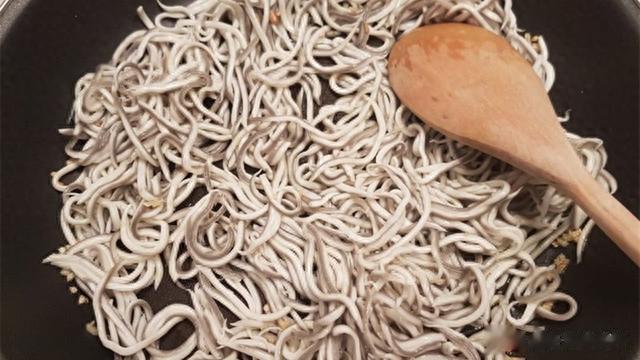 鳗鱼|曾经是猪饲料,现在却被卖到1万一斤,被誉为“西班牙国菜”?