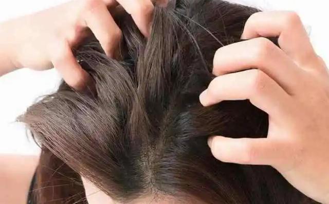 坚持用“盐水”洗头,坚持一段时间后,或会收获4个变化