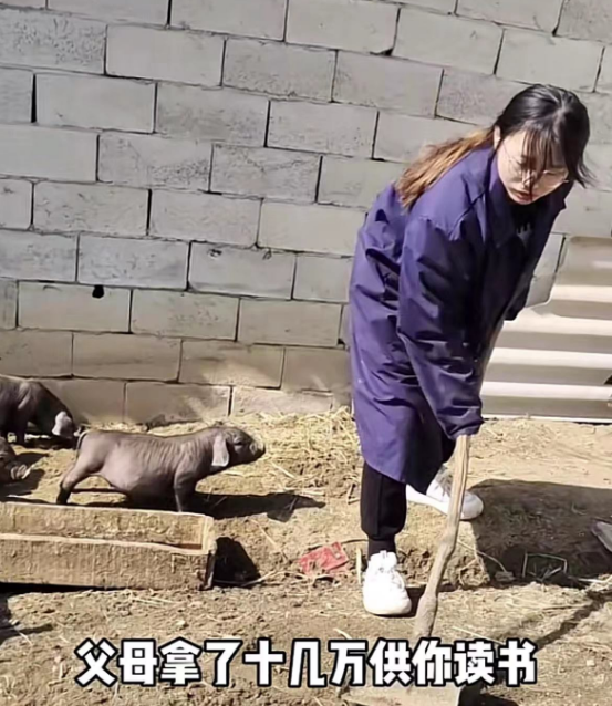 大学生|拿相同的工资,当保安舒服多了,大学生在“奇奇怪怪”的职业内卷!