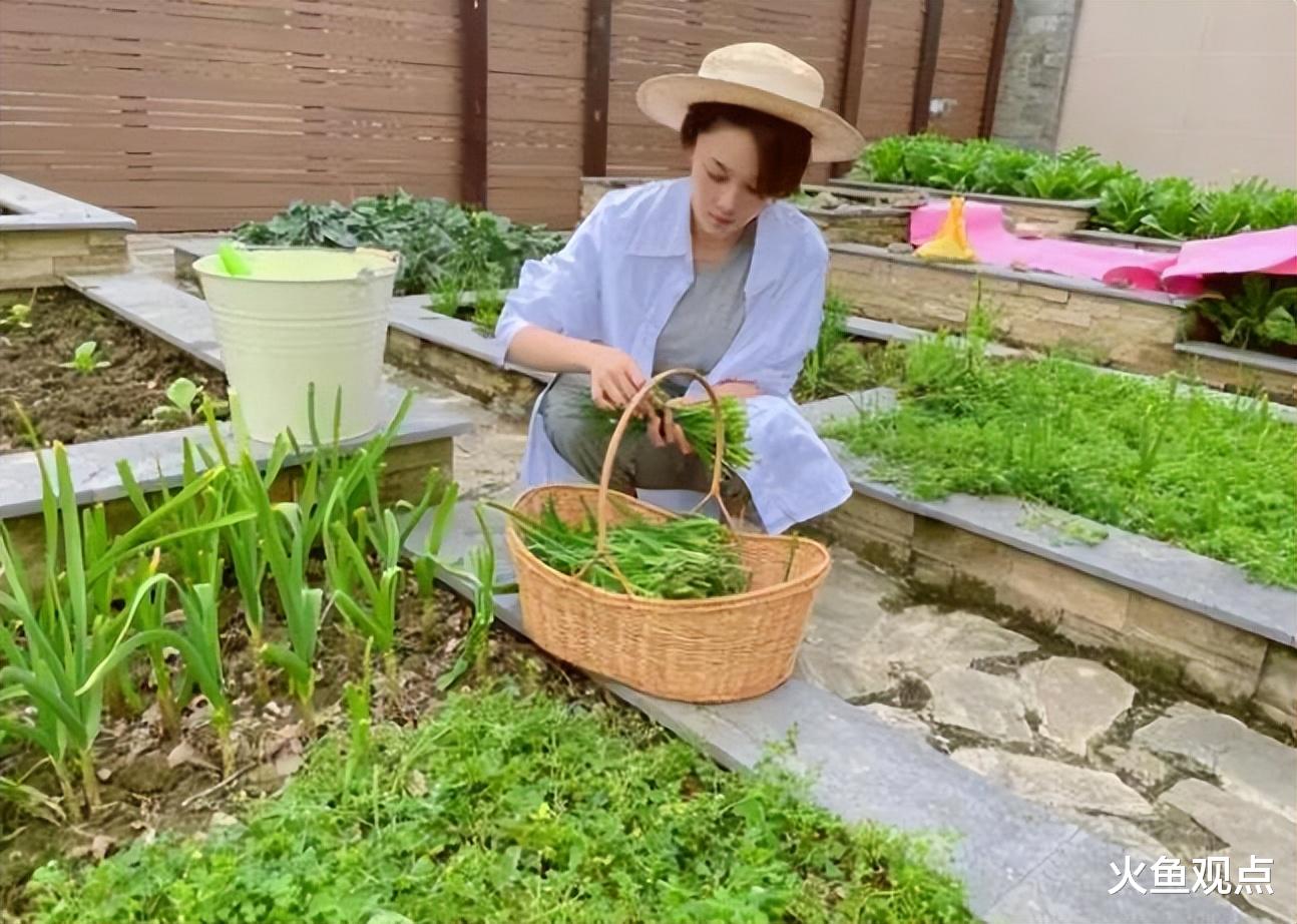 张馨予:仅用一场直播,成功化身“知心姐姐”,挽回无数老粉!