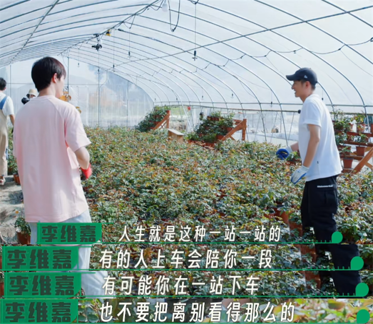 快乐家族|李维嘉首谈快乐家族解散,五人私下不常联系见面!跟吴昕关系最好