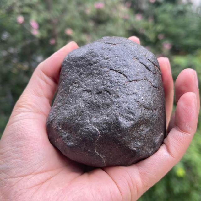 文玩新潮流：这些独特的藏品正悄然兴起！